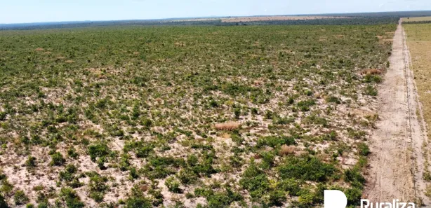 Fazenda / Sítio / Chácara à venda, 3025m² no , Rio Sono