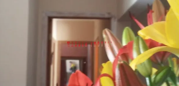 Casa com 1 Quarto à venda, 180m² no Parque Manoel de Vasconcelos, Sumaré