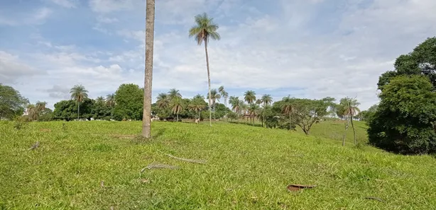 Fazenda / Sítio / Chácara à venda, 280000m² no Setor Bosque, Formosa