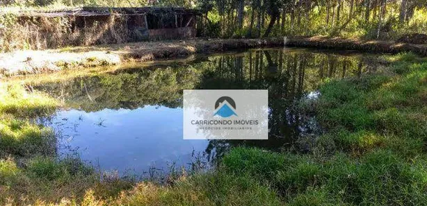 Fazenda / Sítio / Chácara com 2 Quartos à venda, 12000m² no Cézar de Souza, Mogi das Cruzes