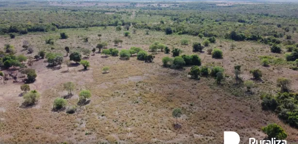 Fazenda / Sítio / Chácara à venda, 430m² no , Pium