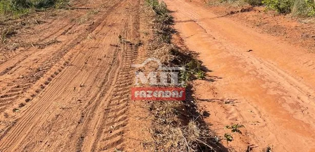 Fazenda / Sítio / Chácara à venda, 13000m² no , Ponte Alta do Tocantins