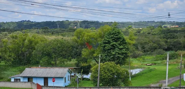 Fazenda / Sítio / Chácara com 2 Quartos à venda, 40099m² no Iguaçu, Araucária