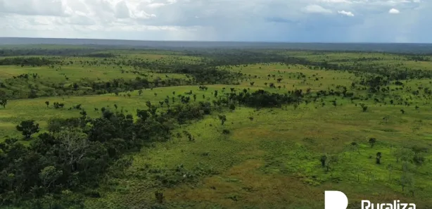 Fazenda / Sítio / Chácara à venda, 2691m² no , Rio Sono