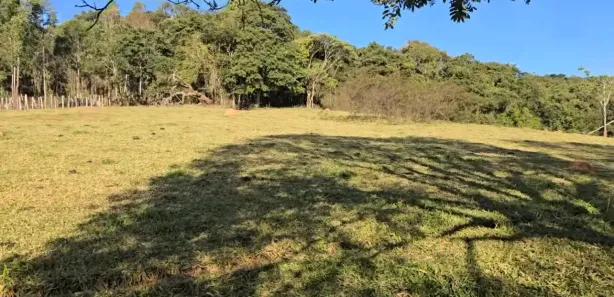 Terreno / Lote / Condomínio à venda, 10000m² no Centro, Pouso Alegre