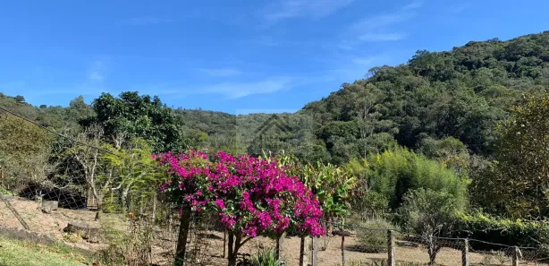 Fazenda / Sítio / Chácara com 3 Quartos à venda, 240000m² no Centro, Bom Jesus dos Perdões