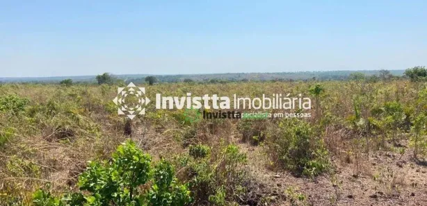 Fazenda / Sítio / Chácara à venda, 794m² no Centro, Pium