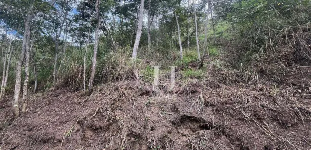 Terreno / Lote / Condomínio à venda, 772m² no Pedro do Rio, Petrópolis