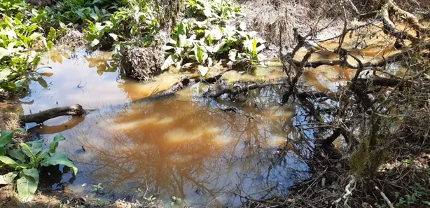 Fazenda / Sítio / Chácara com 3 Quartos à venda, 6000m² no , Contenda