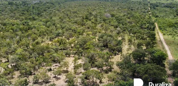 Fazenda / Sítio / Chácara à venda, 290m² no , Pium