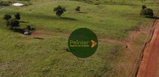 Fazenda / Sítio / Chácara à venda, 10009120m² no Vila Oeste, Paraíso do Tocantins