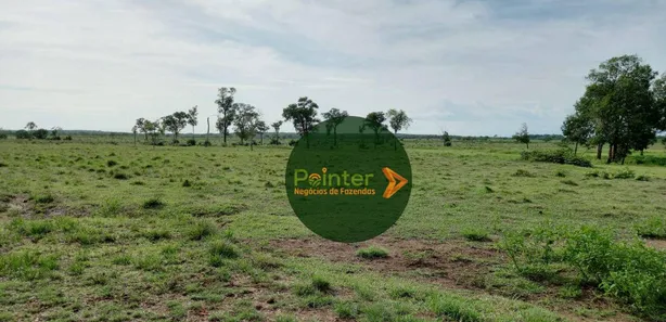 Fazenda / Sítio / Chácara à venda, 7647200m² no , Cristalândia