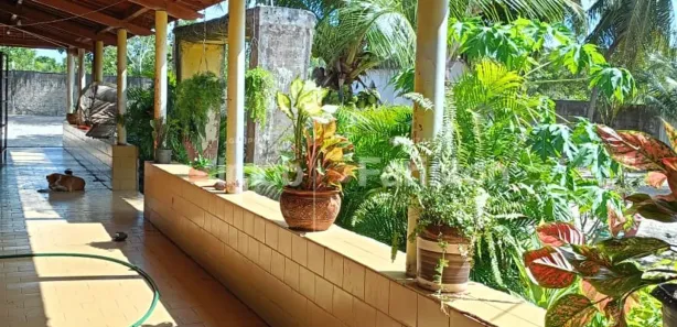 Fazenda / Sítio / Chácara com 4 Quartos para venda ou aluguel, 3900m² no , Aquiraz