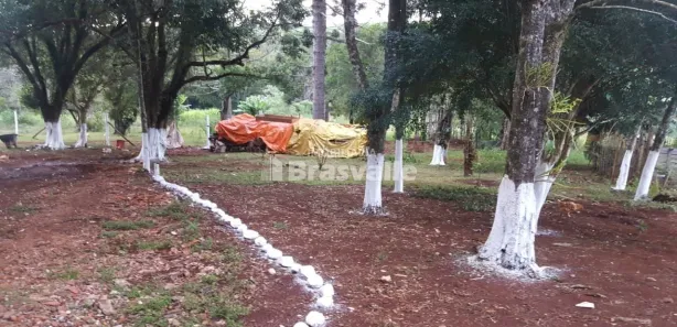 Fazenda / Sítio / Chácara à venda, 5000m² no Cataratas, Cascavel