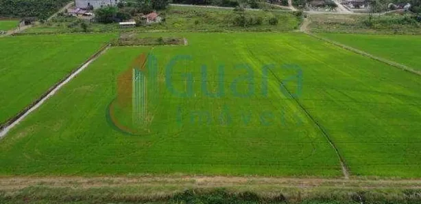 Terreno / Lote / Condomínio à venda, 7942m² no Centro, Massaranduba