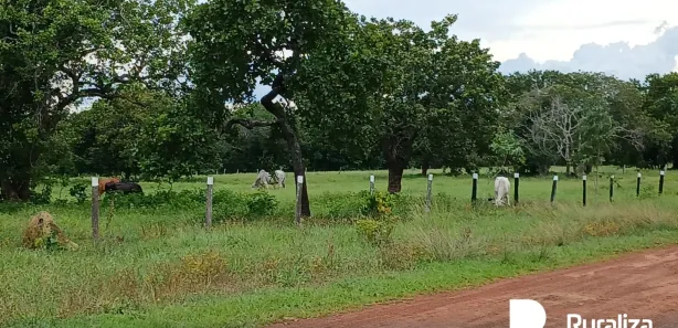 Fazenda / Sítio / Chácara à venda, 1950m² no , Paraíso do Tocantins