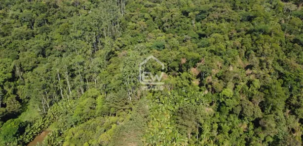 Fazenda / Sítio / Chácara com 1 Quarto à venda, 20100m² no Centro, Massaranduba