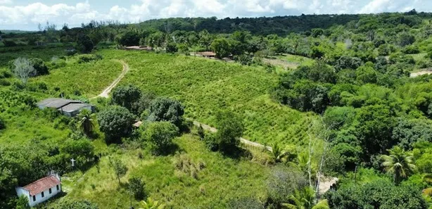 Fazenda / Sítio / Chácara à venda, 160000m² no Centro, Conde