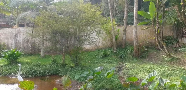 Fazenda / Sítio / Chácara com 2 Quartos à venda, 200m² no Quarta Divisão, Ribeirão Pires