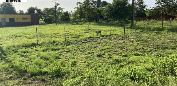 Terreno / Lote / Condomínio à venda, 10m² no Localizado às margens da BR 135., Itapecuru Mirim