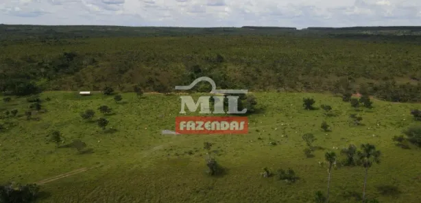 Fazenda / Sítio / Chácara à venda, 500m² no , Rio Sono