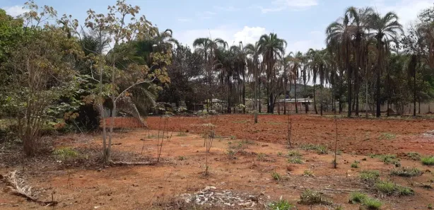 Fazenda / Sítio / Chácara com 2 Quartos à venda, 20000m² no Vale  Das  Macieiras, Padre Bernardo