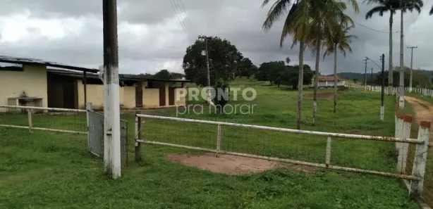 Fazenda / Sítio / Chácara com 4 Quartos à venda, 60000m² no Matriz, Vitória de Santo Antão