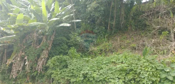 Terreno / Lote / Condomínio à venda, 521m² no Quitandinha, Petrópolis