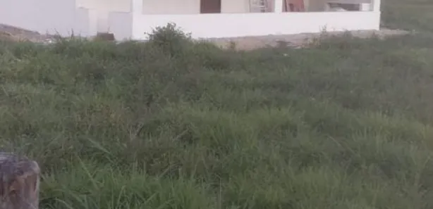 Fazenda / Sítio / Chácara com 5 Quartos à venda, 470000m² no Centro, Formosa