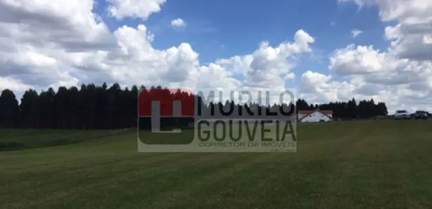 Terreno / Lote / Condomínio à venda, 20000m² no Eucaliptos, Fazenda Rio Grande