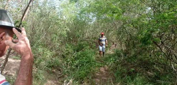 Fazenda / Sítio / Chácara com 4 Quartos à venda, 140000m² no , Pombos