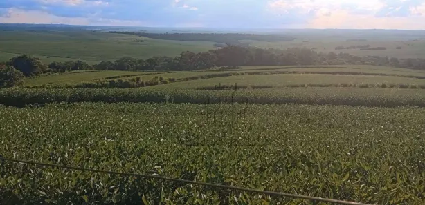 Fazenda / Sítio / Chácara à venda, 193600m² no Centro, Bela Vista do Paraíso