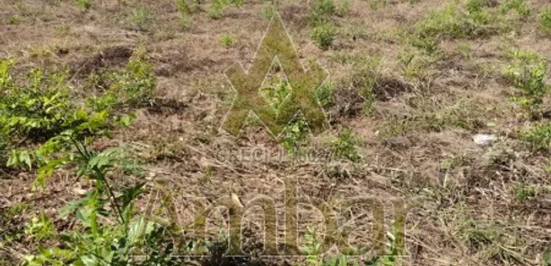 Terreno / Lote / Condomínio para venda ou aluguel, 5000m² no Recreio das Acácias, Ribeirão Preto