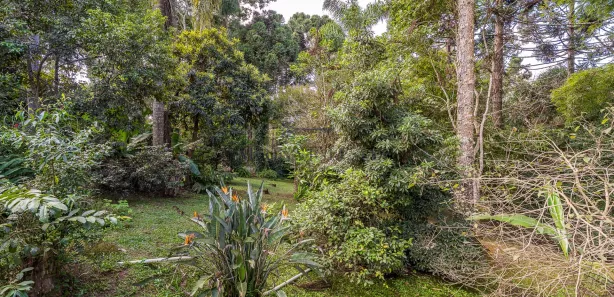 Fazenda / Sítio / Chácara com 3 Quartos à venda, 100m² no Parque das Nascentes, Pinhais