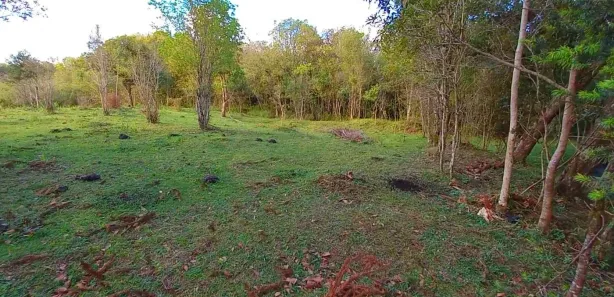 Fazenda / Sítio / Chácara à venda, 32800m² no , Tijucas do Sul