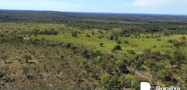 Fazenda / Sítio / Chácara à venda, 4453m² no , Ponte Alta do Tocantins