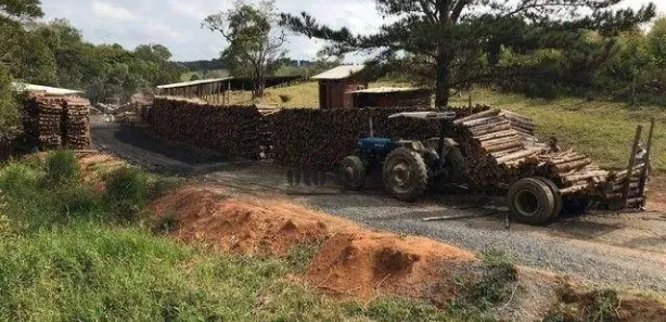 Fazenda / Sítio / Chácara à venda, 91960m² no , Pilar do Sul