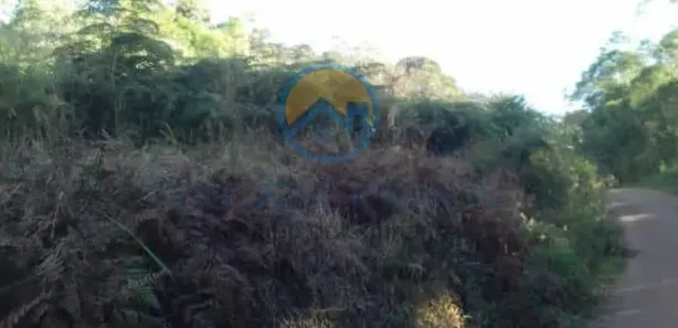 Terreno / Lote / Condomínio à venda, 3000m² no , São Lourenço da Serra