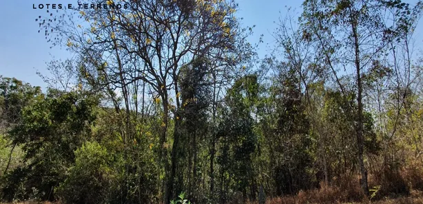 Terreno / Lote / Condomínio à venda, 20000m² no , Fortuna de Minas