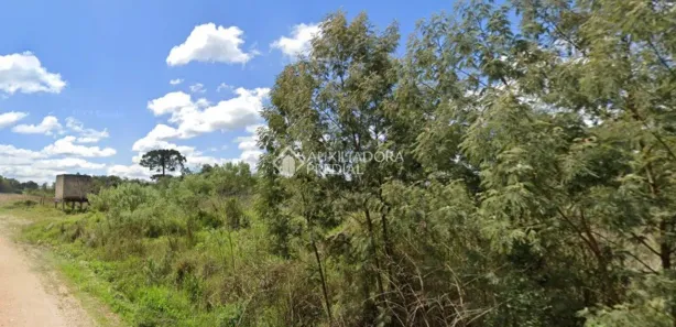 Terreno / Lote / Condomínio à venda, 2000m² no Balsa Nova, Balsa Nova