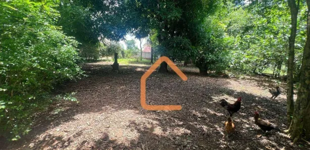 Terreno / Lote / Condomínio à venda, 1350m² no Área Rural de Pouso Alegre, Pouso Alegre
