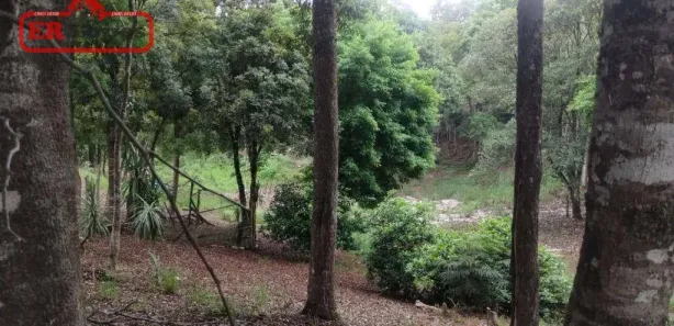 Fazenda / Sítio / Chácara com 2 Quartos à venda, 9450m² no Santa Gema, Colombo