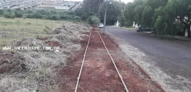 Terreno / Lote / Condomínio à venda no Planalto, Arapiraca