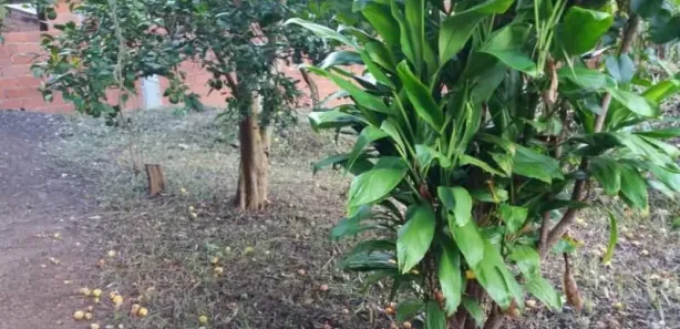 Terreno / Lote / Condomínio à venda, 279m² no Vila Militar, Petrópolis