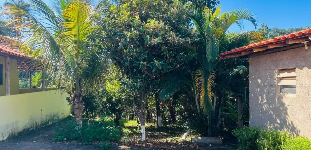 Fazenda / Sítio / Chácara com 3 Quartos à venda, 1900m² no , São Joaquim de Bicas