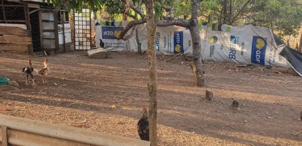 Fazenda / Sítio / Chácara com 2 Quartos à venda, 10000m² no , Brasília