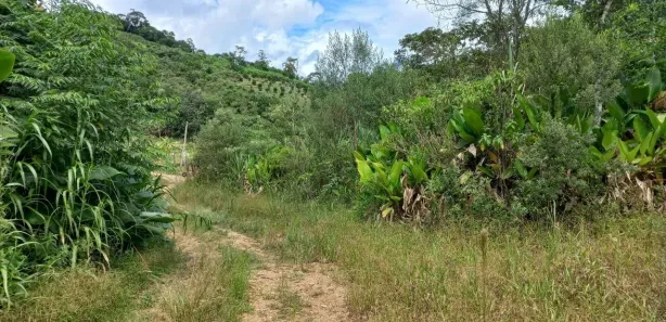 Terreno / Lote / Condomínio à venda, 3780m² no , Águas Mornas
