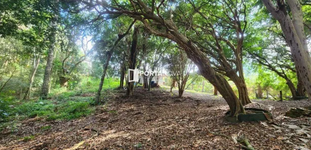Terreno / Lote / Condomínio à venda, 163m² no Itaquaciara, Itapecerica da Serra
