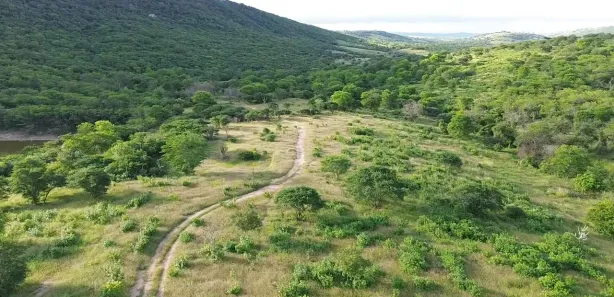 Fazenda / Sítio / Chácara com 3 Quartos à venda, 5130000m² no Área Rural de Gravatá, Gravatá
