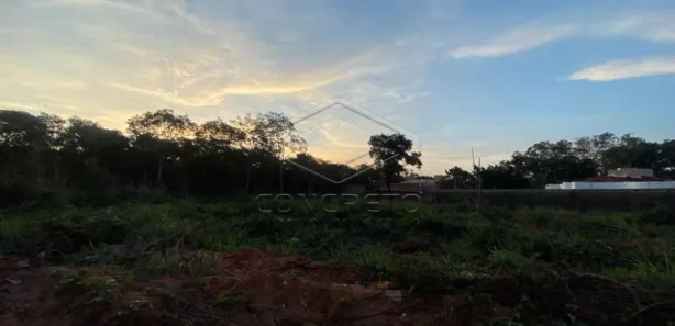 Prédio Inteiro à venda, 450m² no Jardim Santos Dumont, Bauru